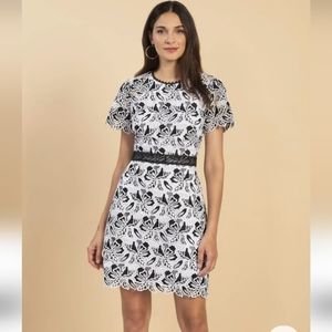 NEW Shoshanna Lace Overlay Black White Dress Size 2 Astraea Dress